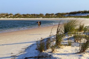 Crooked Island beach Beautiful, Empty Beach