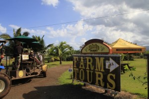 Oahu Kahuku farms 2 Oahu Kahuku farms 2