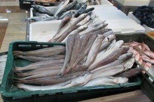 Seafood is fresh from the sea in Croatia. Trays full of fresh seafood from the sea in Croatia