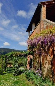 Lodging in agritourismo ranges from rustic to luxe. Side of a building in Agritourismo