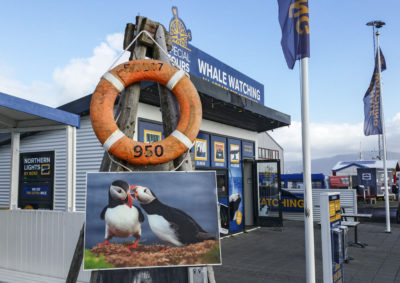 If you'd rather see puffins than eat them, there are plenty of tours.