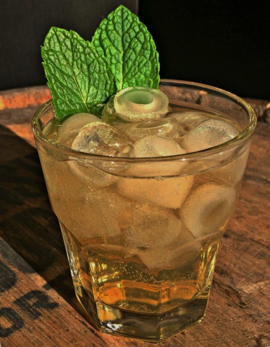 Irish_Mule (995x1280)