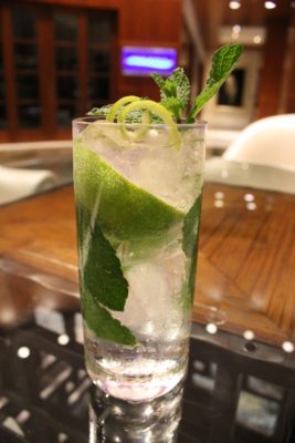 Perfect Mojito