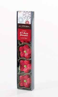 Berry chocolate