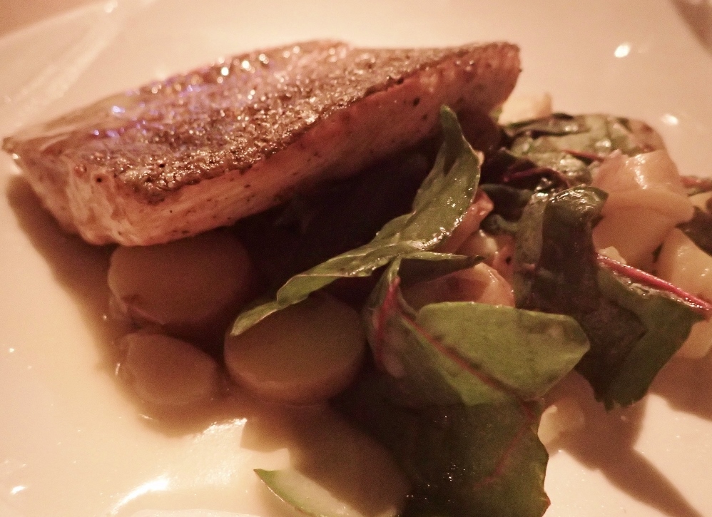 steelhead clarklewis