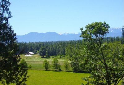 Finnriver farm vista