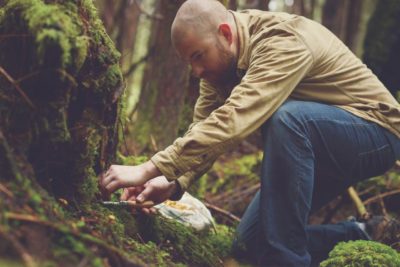 foraging