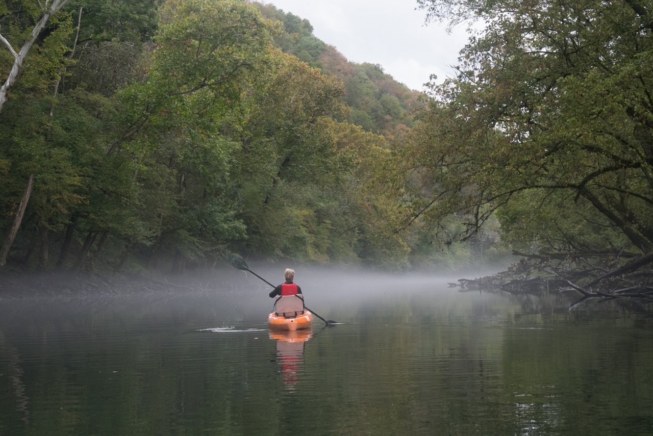 Kayakers