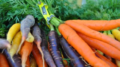 Whidbey chefs partner with local farms for fresh produce. photo by Sherrye Wyatt