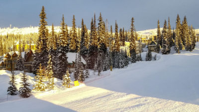 Ski