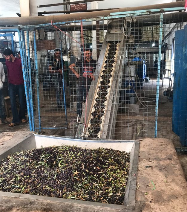 An olive oil factory on the olive trail in Jordan.