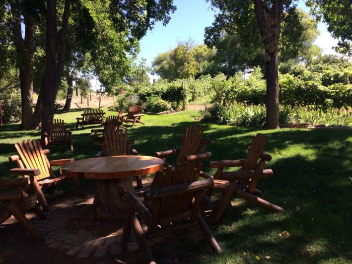 Carlson Vineyard's yard in Colorado wine country.