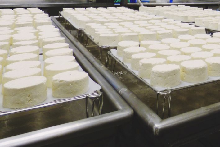 Cheese making at Zingerman's Creamery in Ann Arbor.