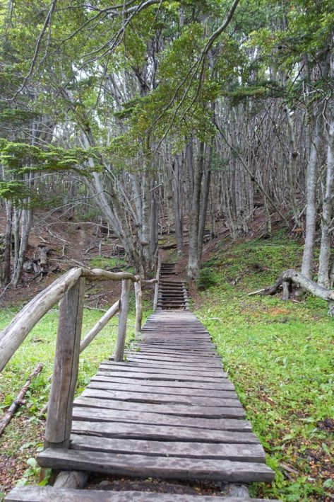 A shore excursion in Argentina.
