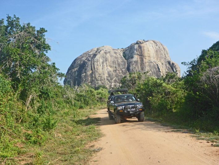 Riding in a jeep before an elephant stole lunch in Sri Lanka.