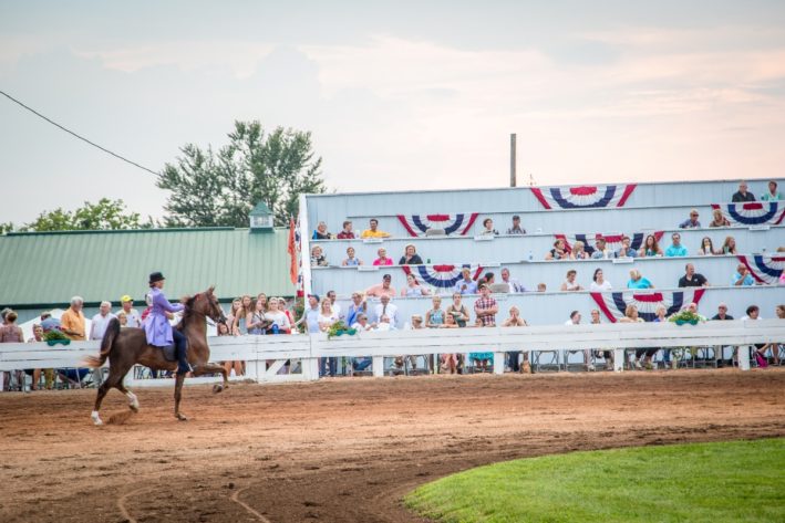 The Shelbyville Horse Show awards thousands of dollars in prizes and trophies.