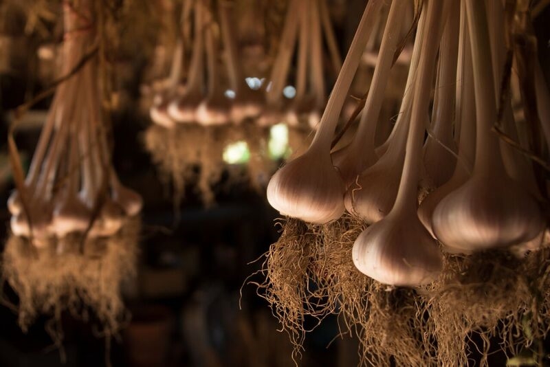 Guide to Whidbey Island Grown Week 2018