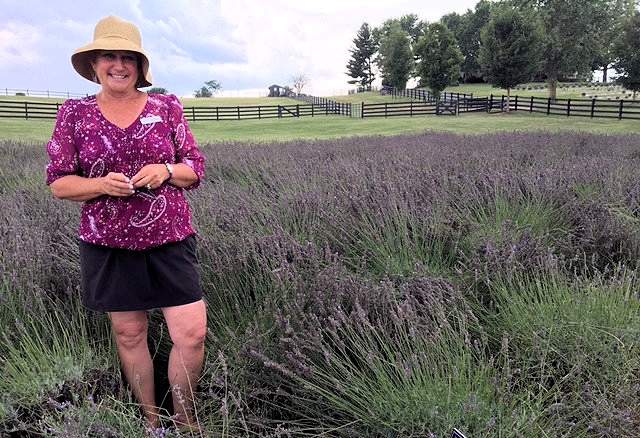 Near Massanutten Resort, meet Julie Haushalter, owner of White Oak Lavender Farm.