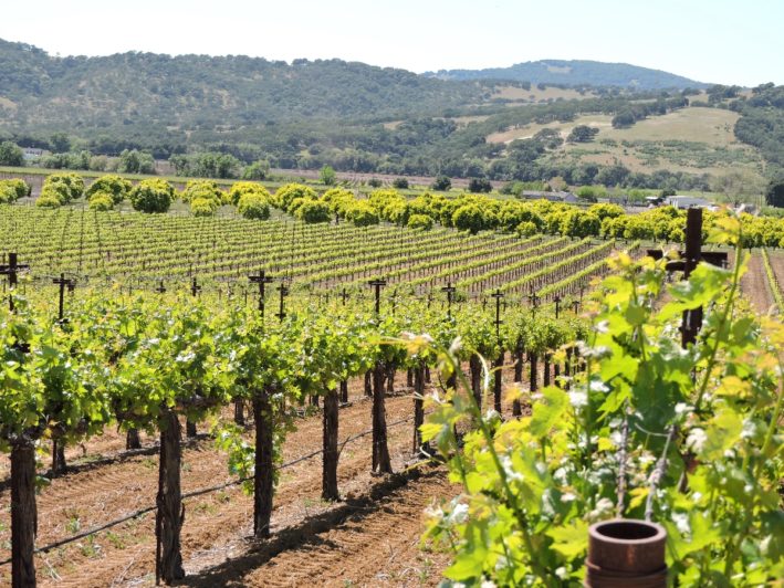 Fairfield California Wineries are the new "Napa"