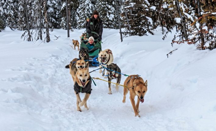 Sun Peaks Resort for Non-Skiers - Dog sled adventures.