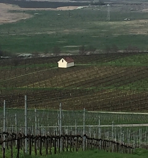 Vineyard view from Degenfeld Hotel when exploring Hungarian wine.