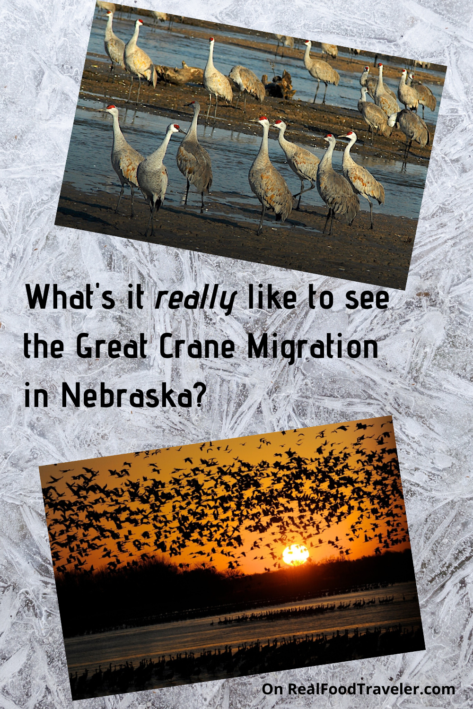 Great Crane Migration Nebraska