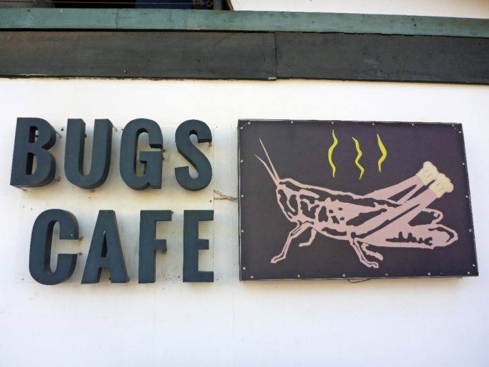 Eating bugs in Cambodia - the sign to the Bugs Cafe