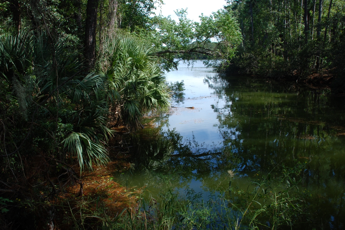 Weathering Hilton Head Island