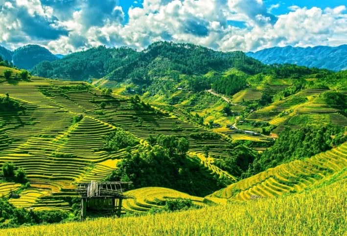 Vietnam is one of the 5 surprising places to visit.