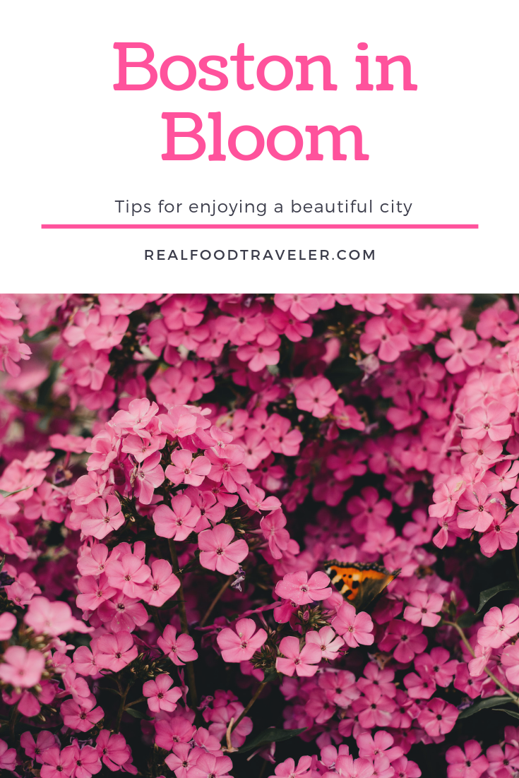 Boston in Bloom for Pinterest
