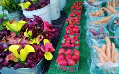 6 Must See San Diego Farmer’s Markets