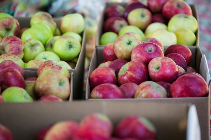 Gravenstein Apple Fair during the year of Sonoma County festivals