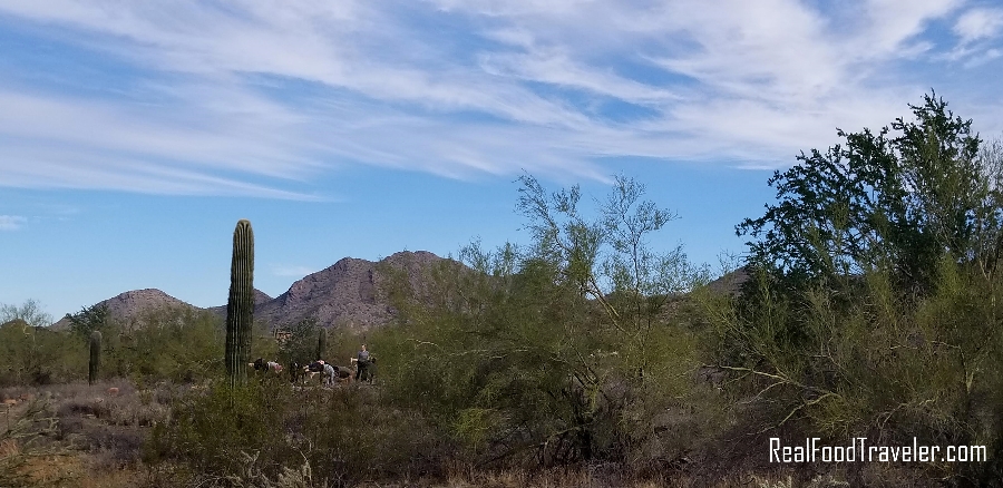 What to do in Scottsdale, AZ. includes doing yoga in the hills.