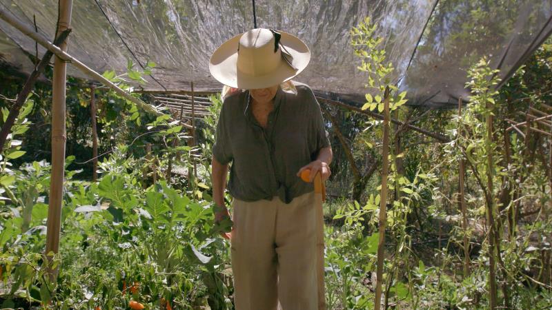 Diana Kennedy in her garden, explains why she planted every thing she did - for the ingredient they provide.