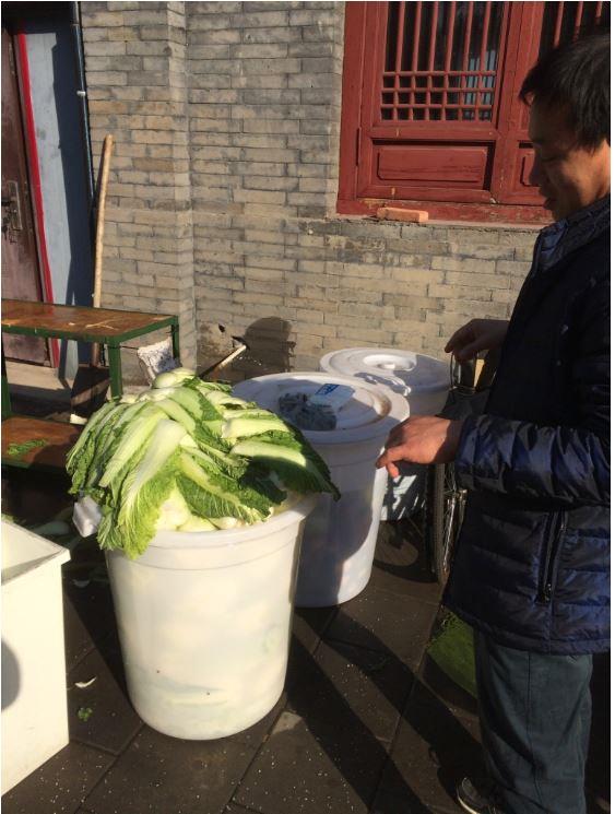 A local, preparing cabbage to be made into the best sauerkraut.