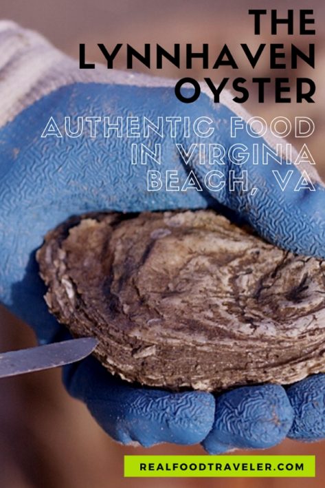 Pin this article about the Lynnhaven Oyster to Pinterest.