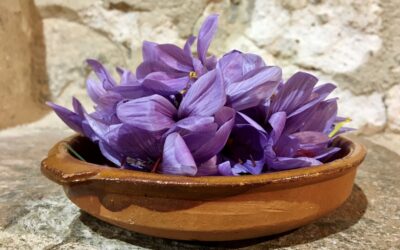Everything Saffron in Consuegra, La Mancha Spain