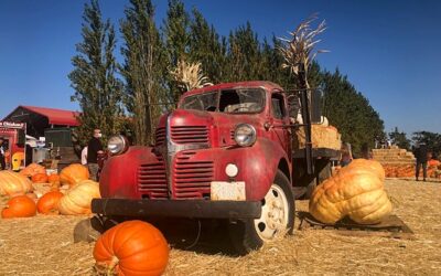 Family-Friendly Weekend in Solano County California