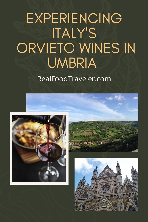 Pinterest Pin for Experiencing Italy's Orvieto Wines in Umbria