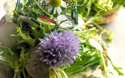 Harvesting Uncommon Ground in Chicago
