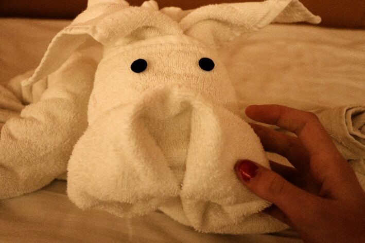 Towel animal sculpture