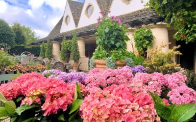 A Visit to Highgrove Gardens in England