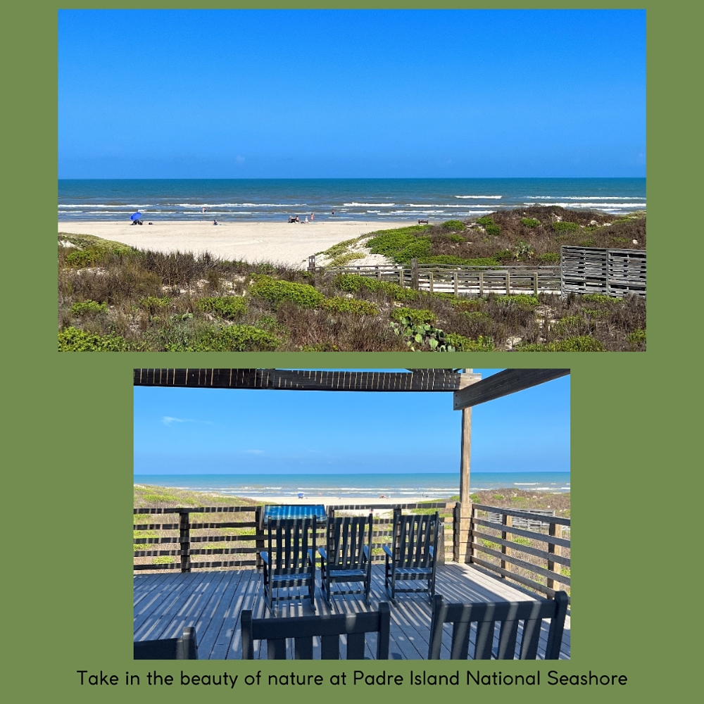 Visit Padre Island National Seashore in Corpus Christi
