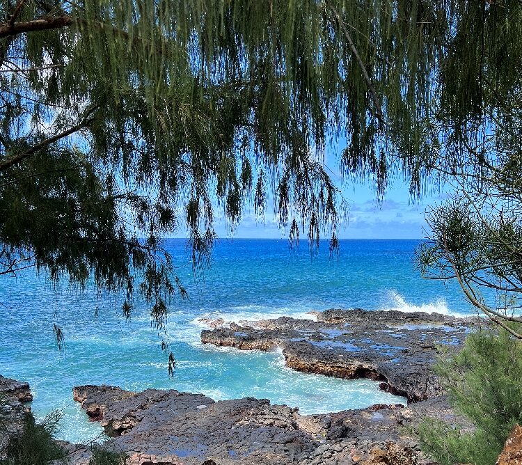 Trees, rocks and ocean at Kaua'i's Blow Hole.