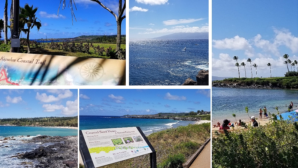 Images of ocean, beach and coastal adventures.