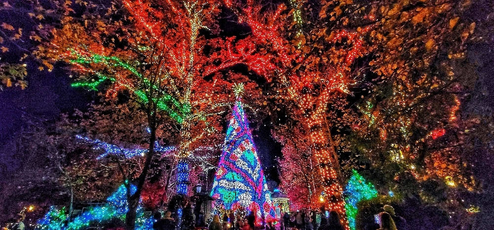 Going to Silver Dollar City to see all the lit up trees is one of the fun things to do in Branson.