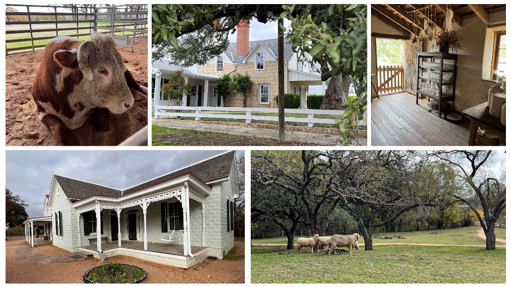 Scenes from the Sauer-Beckmann Living History Museum and Lyndon B. Johnson State Park and Historic Site.