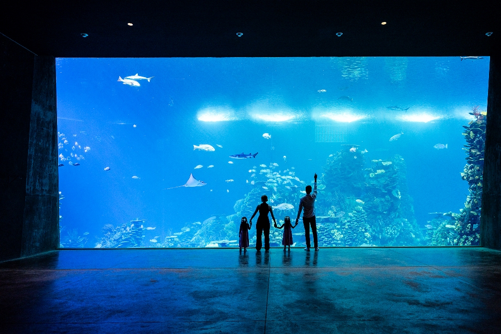 The Gran Acuario Mazatlán aquarium