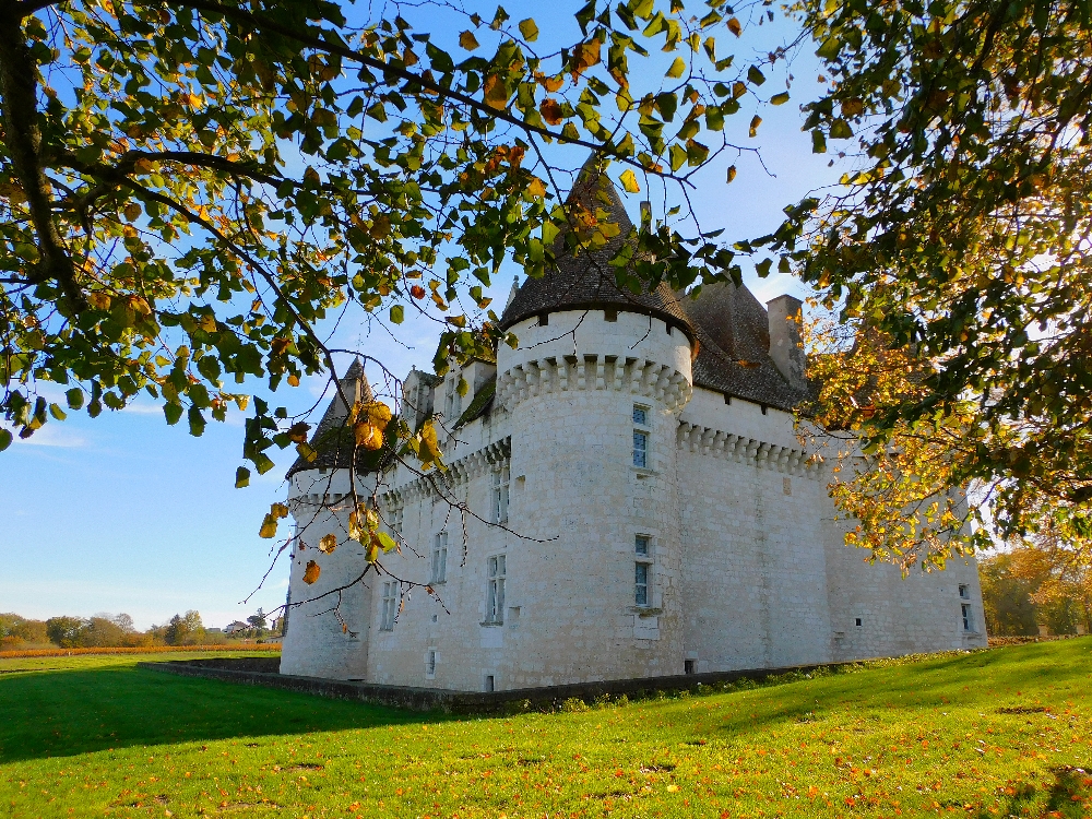 Monbazallic Chateau.