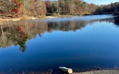 Ways to Enjoy Blacksburg, Virginia Outdoors